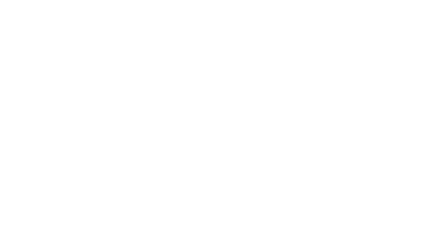 Gemeente Leiden