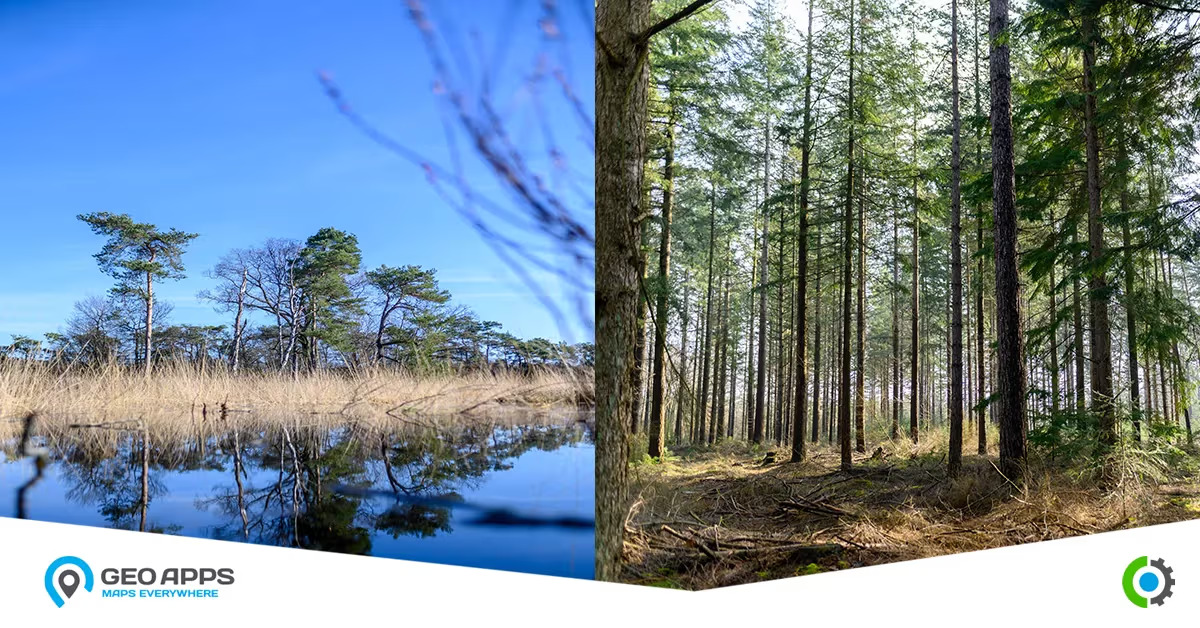 Featured image for How Online Maps Help Ecological Consultancy Flourish