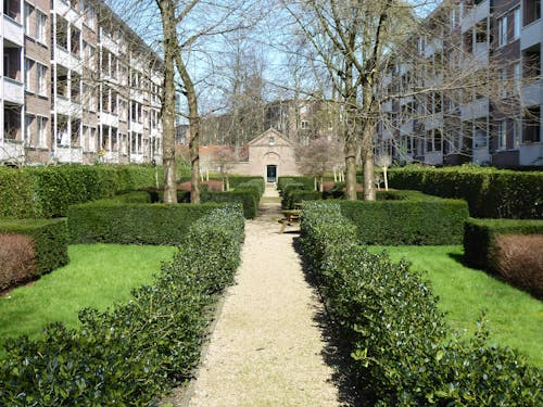 Featured image for Green Insight: Smarter Urban Greening for Livable Cities