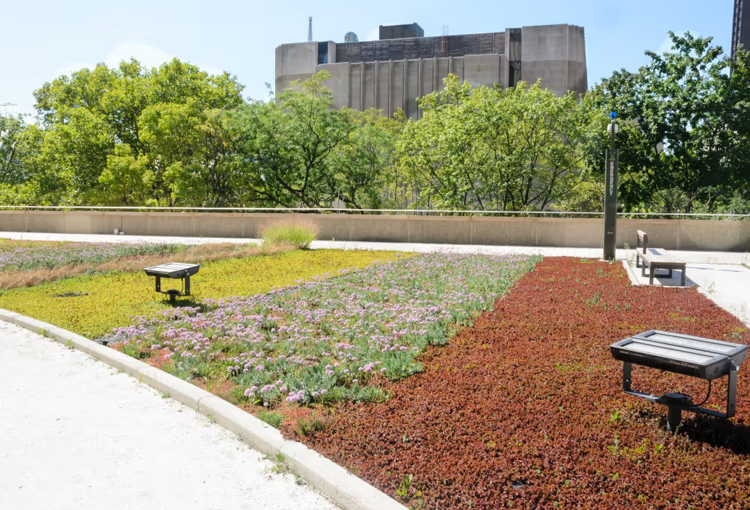 Featured image for How Data-Driven Green Planning Helps Cities Become More Resilient